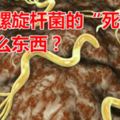 幽門螺旋桿菌的「死敵」是什麼東西？火