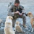 毛小孩是人類最忠實的朋友，軍營收養了三隻流浪犬，卻也因為牠們，軍營的所有士兵才能在一次炸彈中活命！