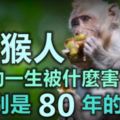 屬猴人：你的一生被什麼害了？特別是80年的，現在知道還不晚！