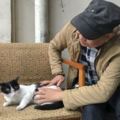 網友在街上轉悠，看見了一隻正在悠閒午休的貓咪，頓時覺得自己的人生或許還不如貓