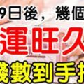 3月19日後，財運旺久久，數錢數到手抽筋的生肖