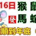 8月16日生肖運勢_猴、鼠、雞大吉