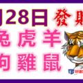 8月28日生肖運勢_兔、虎、羊大吉