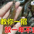 蝦買多了吃不完怎麼能讓蝦長時間保存呢？漁民們這一套保存鮮蝦的簡單方法，放幾個月都不會壞。什麼時候都可以吃呢。這方法希望大家能用得上哦。