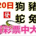 9月20日生肖運勢_狗、豬、羊大吉