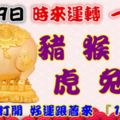 9月29日時來運轉一路發，豬猴牛虎兔鼠，88秒內打開好運跟著來『16888』