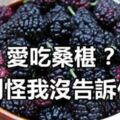 愛吃桑椹？別怪我沒告訴你，看了絕對會嚇一跳