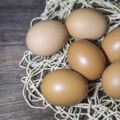 每天早上吃一個雞蛋，對身體到底好不好？