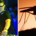 蚊子都怕「這位電音歌手的音樂」　研究證實：可有效干擾牠們「繁殖」