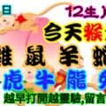 2019年4月25日，星期四農歷三月廿一（己亥年戊辰月壬辰日）