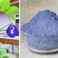蝶豆（藍花）花茶：美容養顏，減脂抗發炎，功效強大