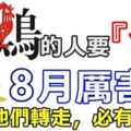 屬雞的人要「發」8月厲害了！必有一財！