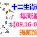 十二生肖運勢：每周運勢【09.16-09.22】提前預知！