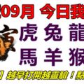 19號09月，今日我最旺！虎兔龍蛇馬羊猴雞！【19988】越早打開越靈驗！點個讚吧！