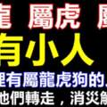 屬龍虎狗未來5天有小人，請為他們轉走，消災解難