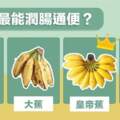 【香蕉品種】此蕉不同彼蕉！香蕉、大蕉、牛奶蕉、皇帝蕉有何不同？哪款最能潤腸通便？