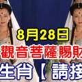 8月28日觀音菩薩賜財，六大生肖請接財