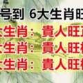 9月9號到，六大生肖旺到爆