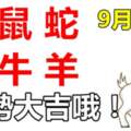 9月24日，生肖龍、鼠、蛇、猴、牛、羊！運勢大吉！