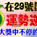 在29號開始運勢逆襲，橫財大獎中不停的生肖