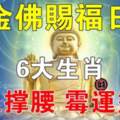 金佛賜福日，６大生肖貴人撐腰，黴運盡散