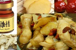 滋補食譜～雞精蒸雞，簡單方便