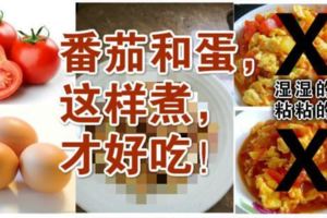 番茄和雞蛋，就只是可以煮番茄炒蛋？黏黏濕濕的，哪裡好吃！！