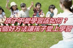 孩子不愛學習該如何？五個好方法讓孩子愛上學習！