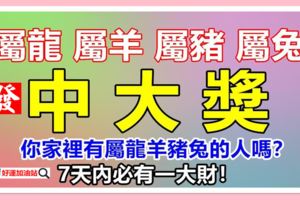 你家裡有屬龍羊豬兔的人嗎？今天請為他們積財積福，7天內必有一大財！
