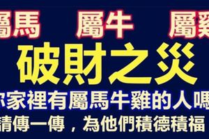你家裡有屬馬牛雞的人嗎？他們11月份，難逃破財之災