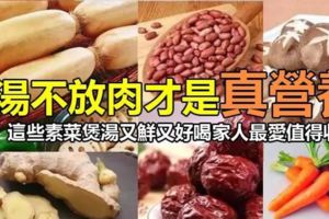煲湯不放肉無味精才是真營養，這些素菜煲湯又鮮又好喝，為家人健康要多煲來喝哦！
