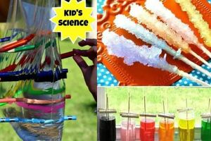 15個超棒的有趣科學小實驗（5-12歲），周末和孩子一起做起來吧！