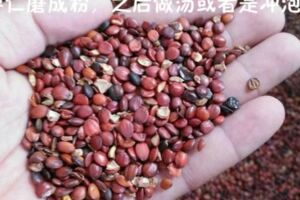 中醫把它稱為「天然的安眠藥」，經常吃睡得香，精神好味道還不錯