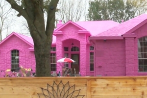 這品味氣瘋鄰居　男子買房漆滿「最愛粉紅色」遭抗議：整條街掉房價！