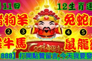 2019年6月11日，星期二，農歷五月初九（己亥年庚午月己卯日）
