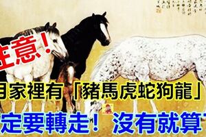 六月份家裡有「豬馬虎蛇狗龍」的人，一定要轉走！沒有就算了
