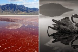 奇美「鮮紅色湖景」只能遠觀　任何生物好奇去碰「身體會全乾」