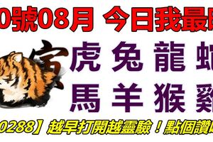 20號08月，今日我最旺！虎兔龍蛇馬羊猴雞！【80288】越早打開越靈驗！點個讚吧！