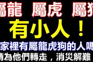 屬龍虎狗未來5天有小人，請為他們轉走，消災解難