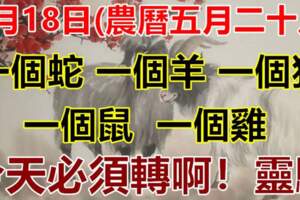 7月18日(農曆五月二十八)要格外留心了，一個蛇，一個羊，一個狗，一個鼠，一個雞！大吉大利！