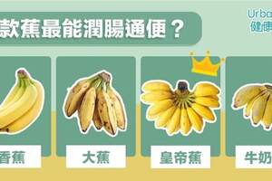 【香蕉品種】此蕉不同彼蕉！香蕉、大蕉、牛奶蕉、皇帝蕉有何不同？哪款最能潤腸通便？