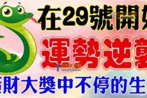 在29號開始運勢逆襲，橫財大獎中不停的生肖