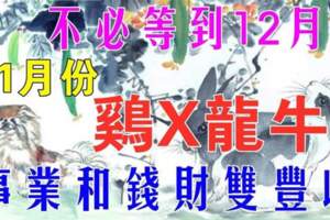 11月份（雞X龍牛）事業和錢財雙豐收