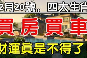 12月20號財運不得了，買房買車的四大生肖