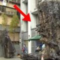 建商在台北市整地時竟然挖出這塊「長達30公尺的千年烏木」，一聽到它的價值每個人下巴馬上都掉了下來！
