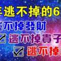 今年逃不掉發財、逃不掉貴子，逃不掉福氣的生肖