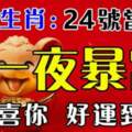 2月24號當天翻身轉大運，有一筆財富的生肖
