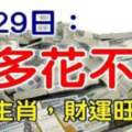 6月29日錢多花不完，這些生肖財運旺久久