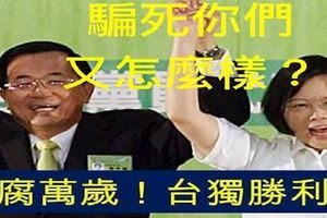 台灣詐騙集團的守護神，騙子老千的老巢：民進黨攏是騙！被騙的台灣人自作孽不可活。
