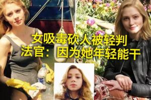 女吸毒砍人被輕判法官：因為她年輕能幹